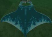 An edge glider
