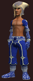 Illuminating Armor Set (Without Blouse)