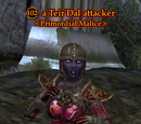 A Teir'Dal attacker