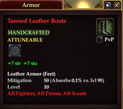 Tanned Leather Boots