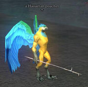 A Haoaeran poacher