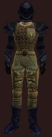 Plate Armor of Demolishing(Worn)