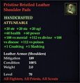 Pristine Bristled Leather Shoulder Pads.jpg