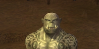 Orcish Proselyte