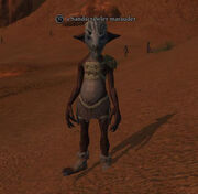 A Sandscrawler marauder