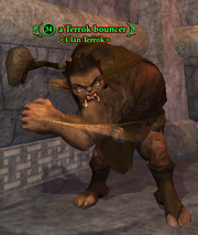 A Terrok bouncer