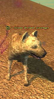 A vicious dryland scavenger