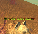 A vicious dryland scavenger
