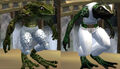 Race froglok.jpg