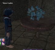 Vence Laden