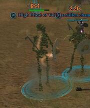 High Priest of Val'Marr