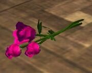 Three Pink Roses (Visible)