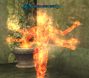 A flame elemental