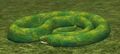 Race snake.jpg