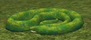 Race snake