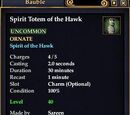 Spirit Totem of the Hawk