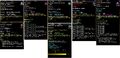Chillispikes Adorn Check image.jpg