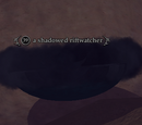A shadowed riftwatcher