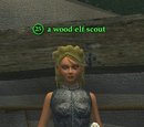 A wood elf scout