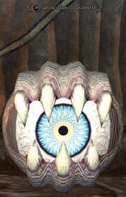 An oculus illusionist