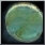 Earring Icon 62 (Treasured).png