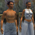 Race wood elf.jpg