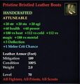 Pristine Bristled Leather Boots.jpg