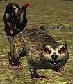 A mutated rat.jpg