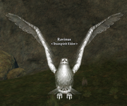 Ravinus