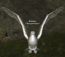 Ravinus