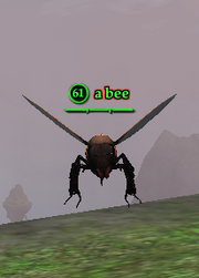 A bee