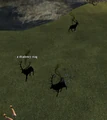 A shadowy stag (Cobalt Scar).png