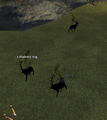 A shadowy stag (Cobalt Scar).png