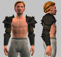 Archon's Plate Pauldrons of Smiting (Equipped).png