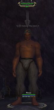 Enforcer Muj'fadh