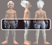 Naturewalker's Leather Gloves (Equipped)