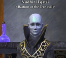 Nudhir Il'qatai