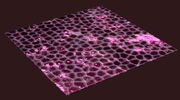 Pink-stained-glass-square