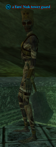 A Faro' Nuk tower guard