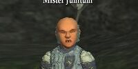 Mister Jumtum