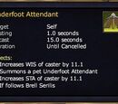 Underfoot Attendant