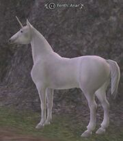 Ferith`Anar