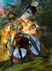 Ziza Cerata (Advanced Solo)