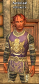 Aerinleaf.png