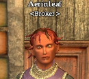 Aerinleaf