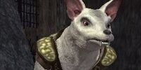 Tactician Mengs