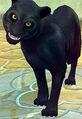 Race panther.jpg