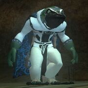 Ebon Eye Robe (worn)