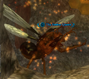 The Ember Queen