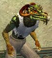 Race sarnak.jpg